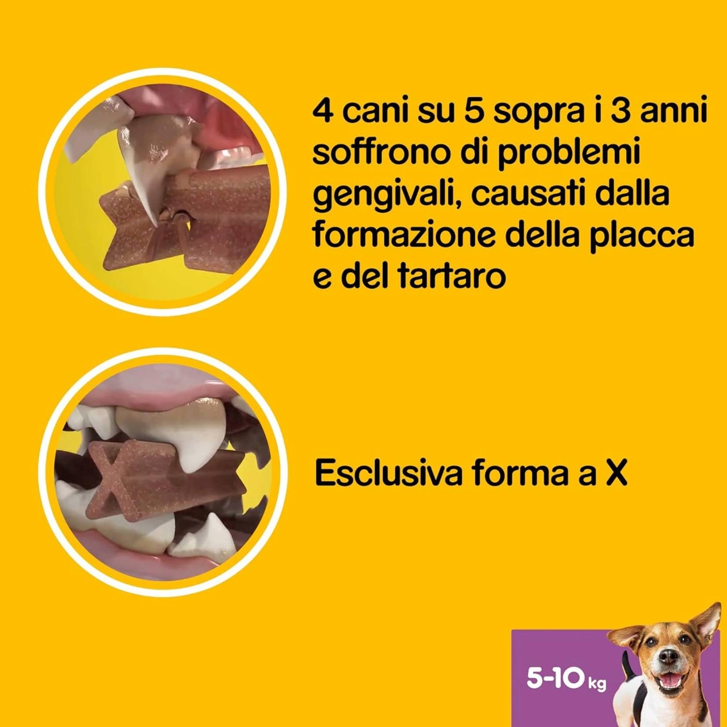 Pedigree – Dentastix für kleine Hunde (5–10 kg) – 105 Snacks für die Mundhygiene in 15 Packungen mit je 7 Stück