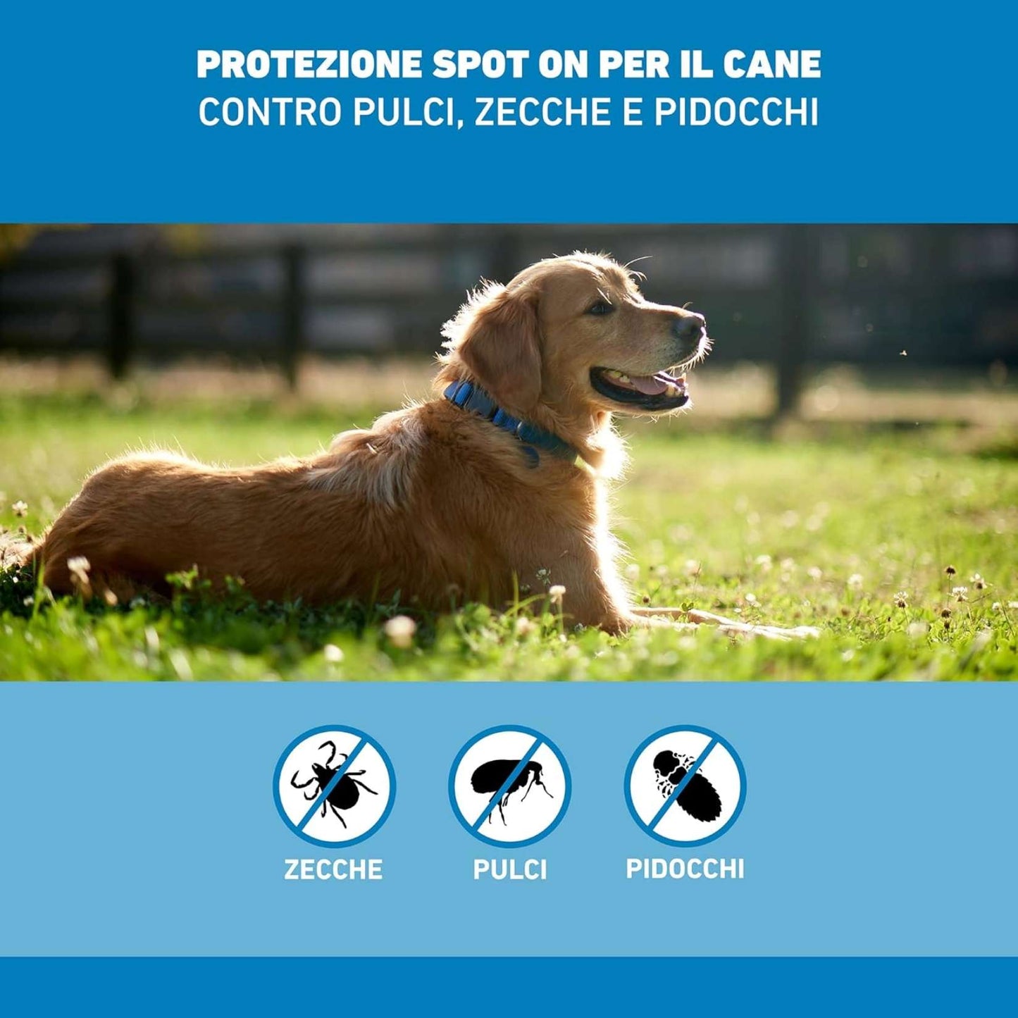 FRONTLINE Spot On Cani 20-40 Kg | 3 Pipette | Antiparassitario BOEHRINGER | Protezione Pulci e Zecche
