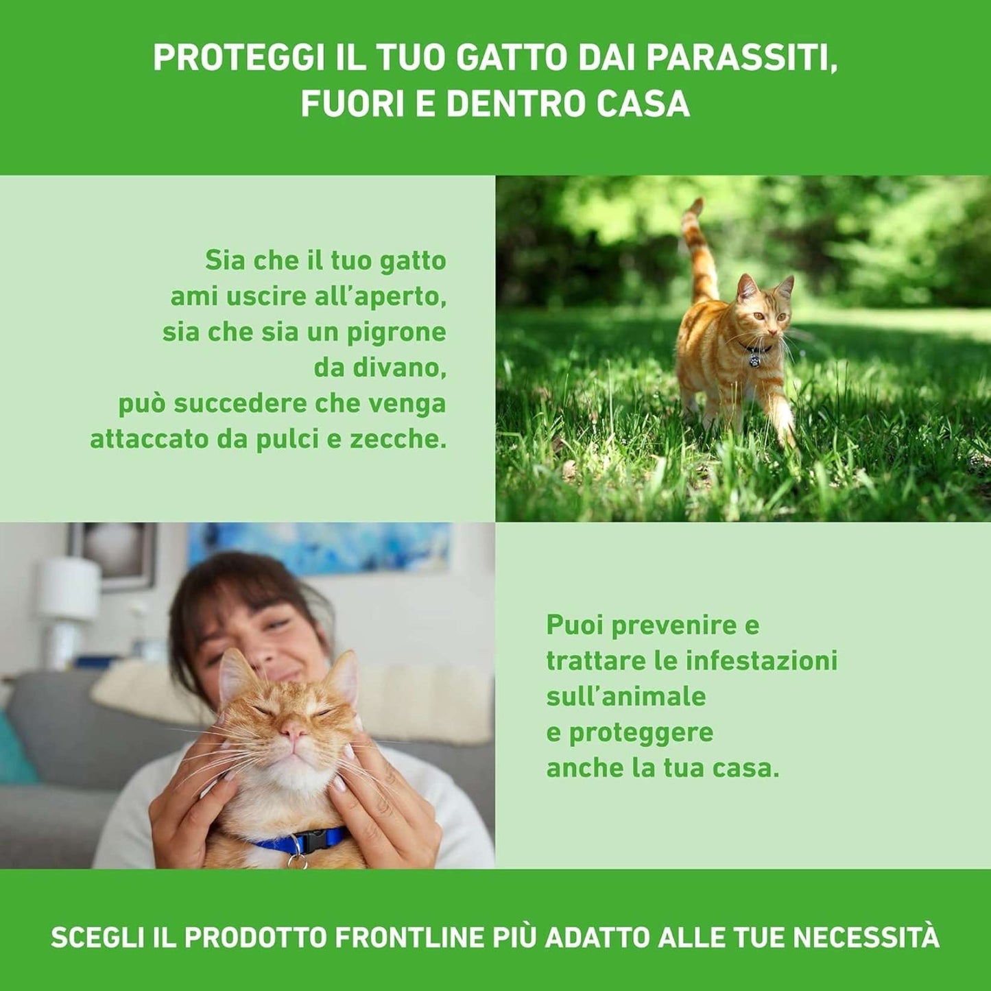 FRONTLINE | Combo Gatti e Furetti | Antiparassitario 3 Pipette da 0,5 ml contro Pulci, Zecche, Uova e Larve