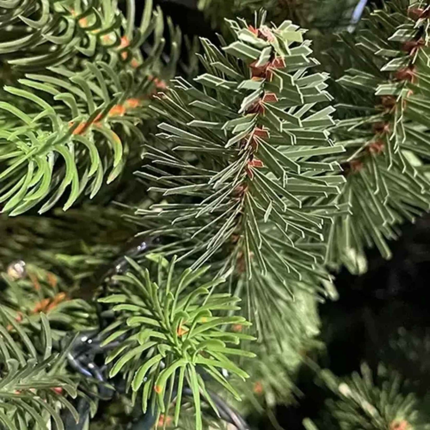 Albero di Natale 210 cm EverGlow con 1292 Rami in PE+PVC – Realistico, Folto, Ø121 cm, Montaggio ad Ombrello Facile e Veloce