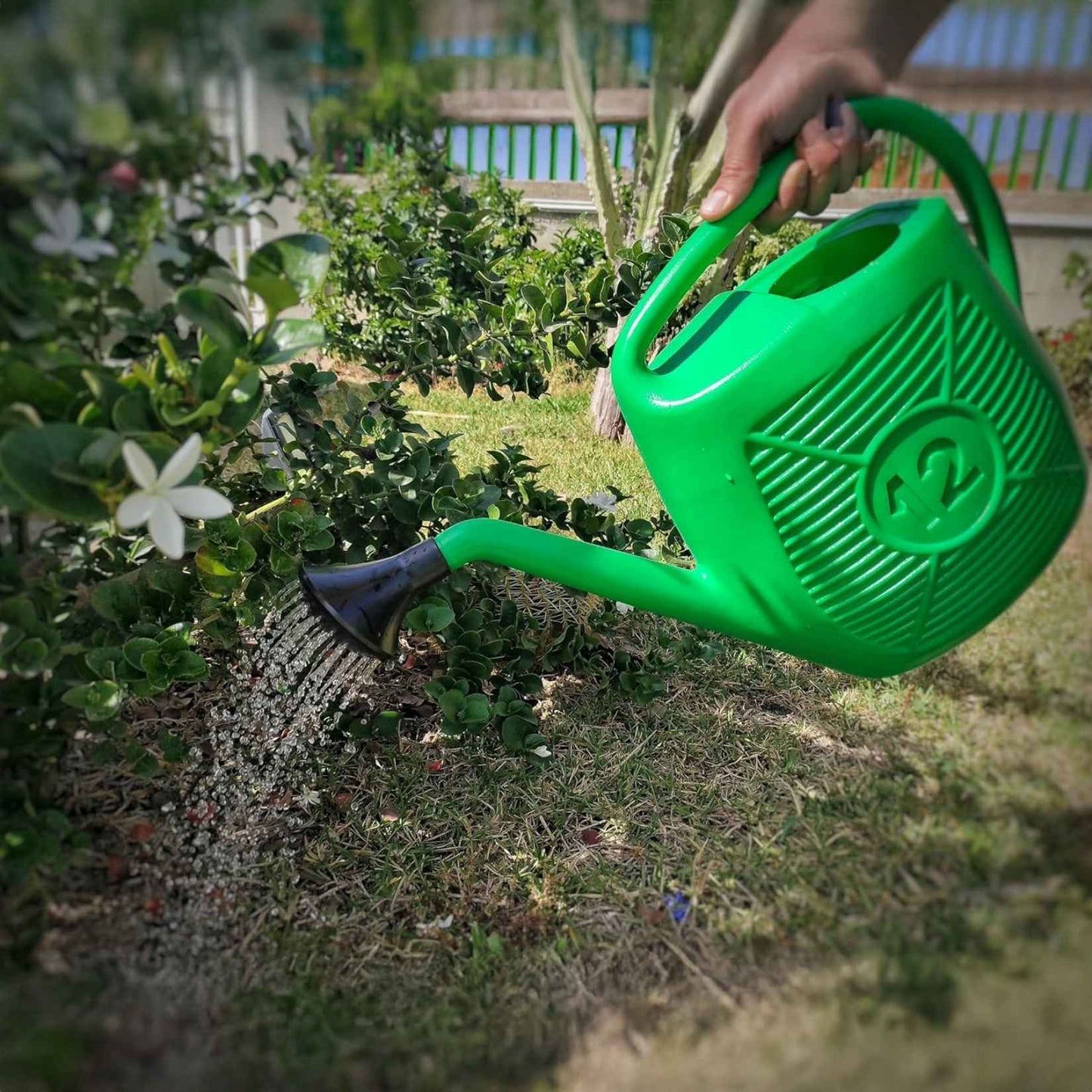 Annaffiatoio Ecoplast 12 Litri – In Plastica Verde Resistente per Giardino – Capiente e Facile da Usare