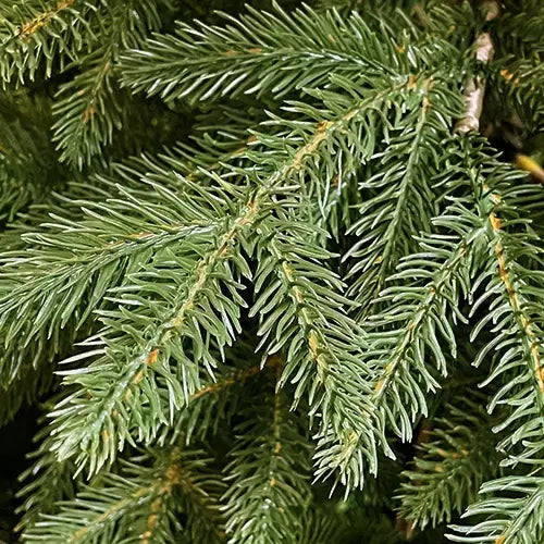 Albero di Natale 210 cm Modello Samu con Luci LED Calde e Base in Legno – 731 Rami Realistici in PE+PVC, Ø111 cm, Montaggio Ombrello e Giochi di Luce