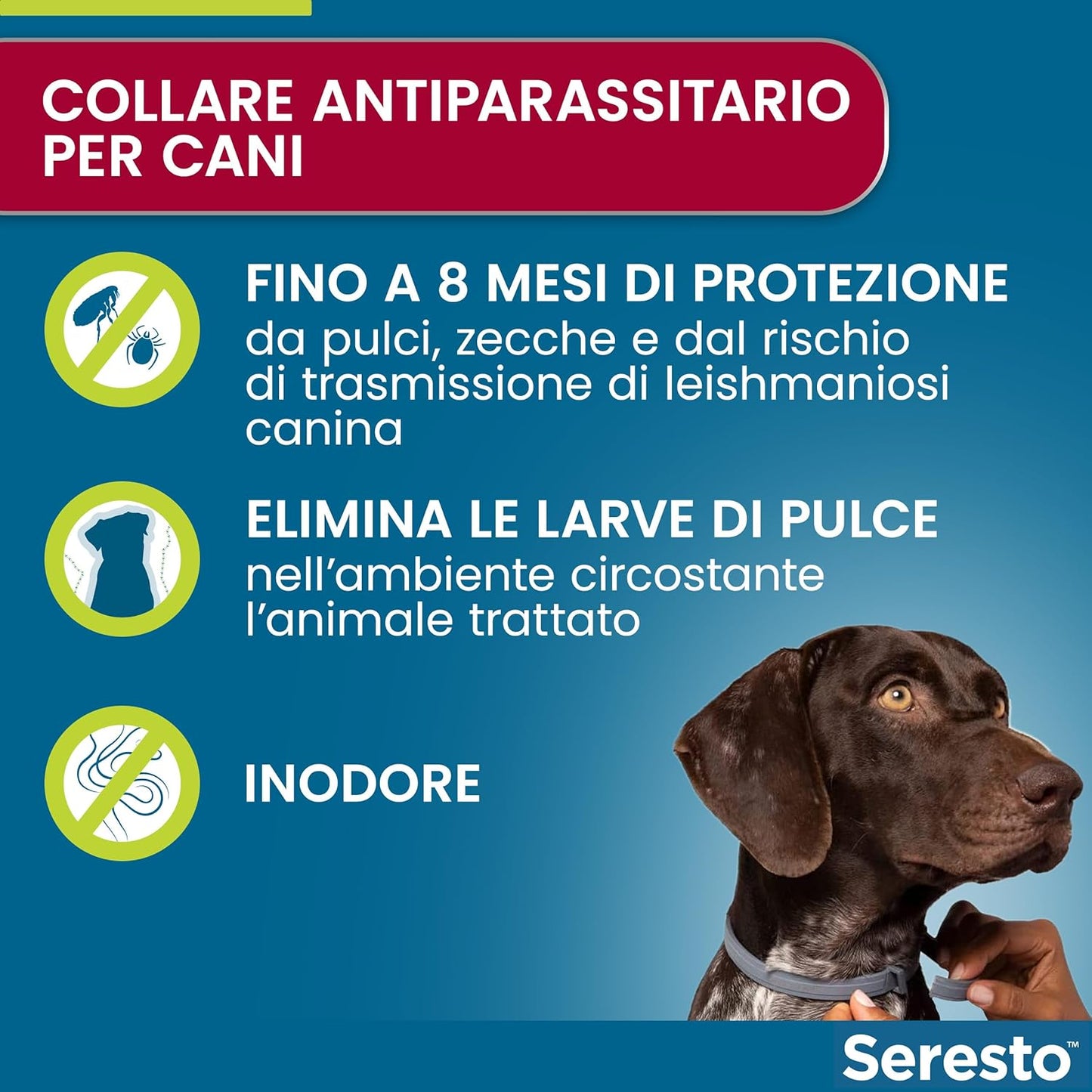 Elanco Seresto - Collare Antiparassitario Per Cani Medio/Grandi - Oltre 8 kg