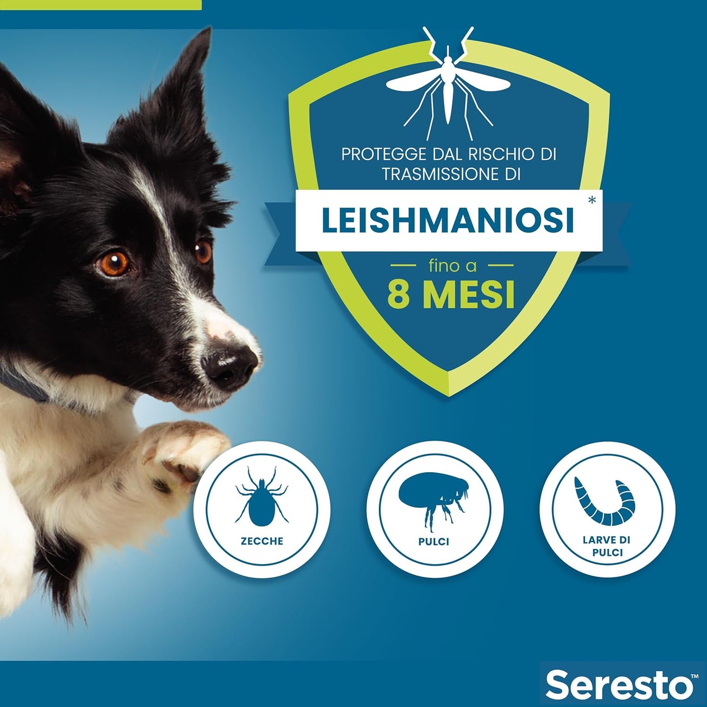 Elanco Seresto - Collare Antiparassitario Per Cani Medio/Grandi - Oltre 8 kg