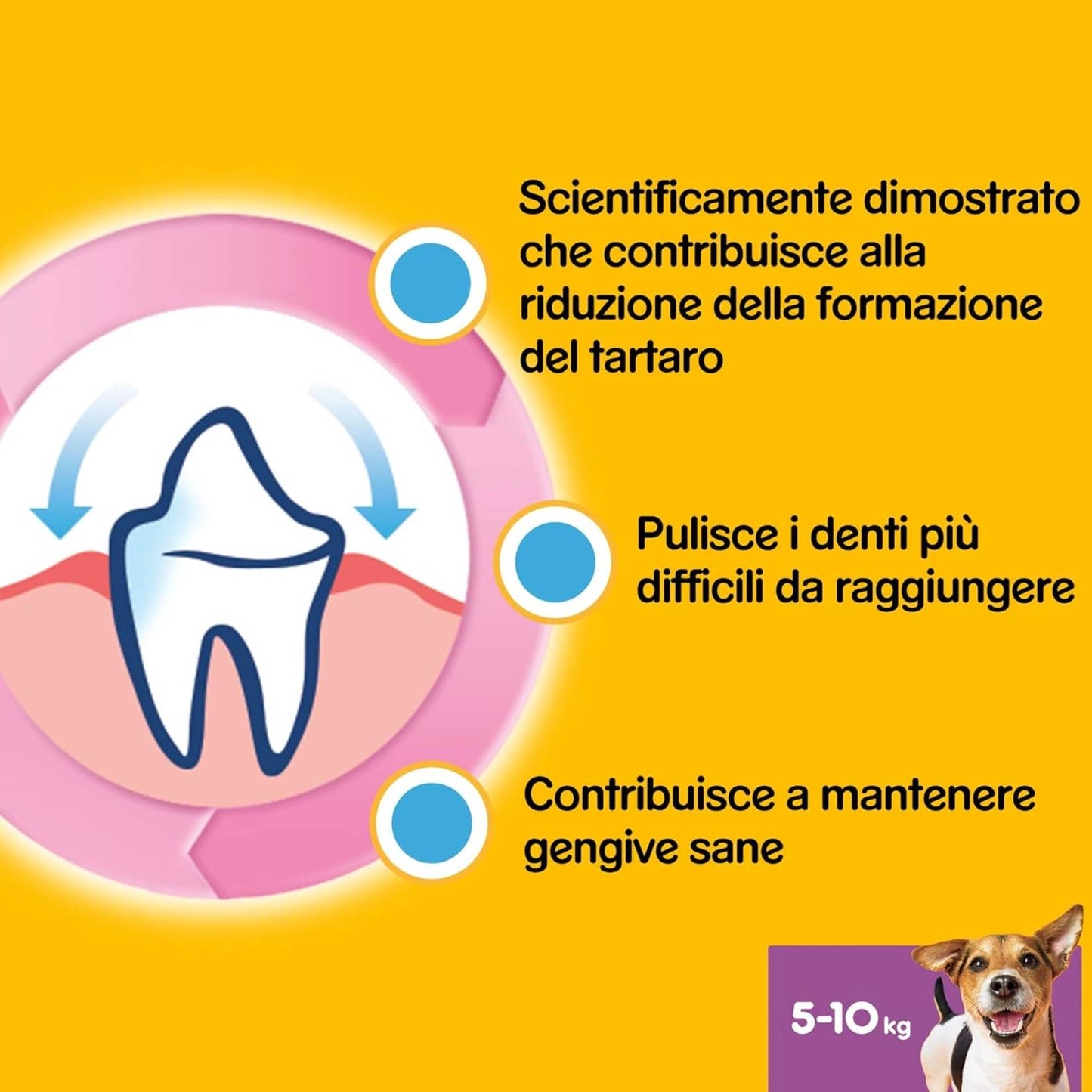 Pedigree – Dentastix für kleine Hunde (5–10 kg) – 105 Snacks für die Mundhygiene in 15 Packungen mit je 7 Stück 