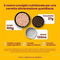 Almo Nature – Holistic Hairball – Nassfutter für erwachsene Katzen mit Rindfleisch – (30 Beutel à 70 g) 