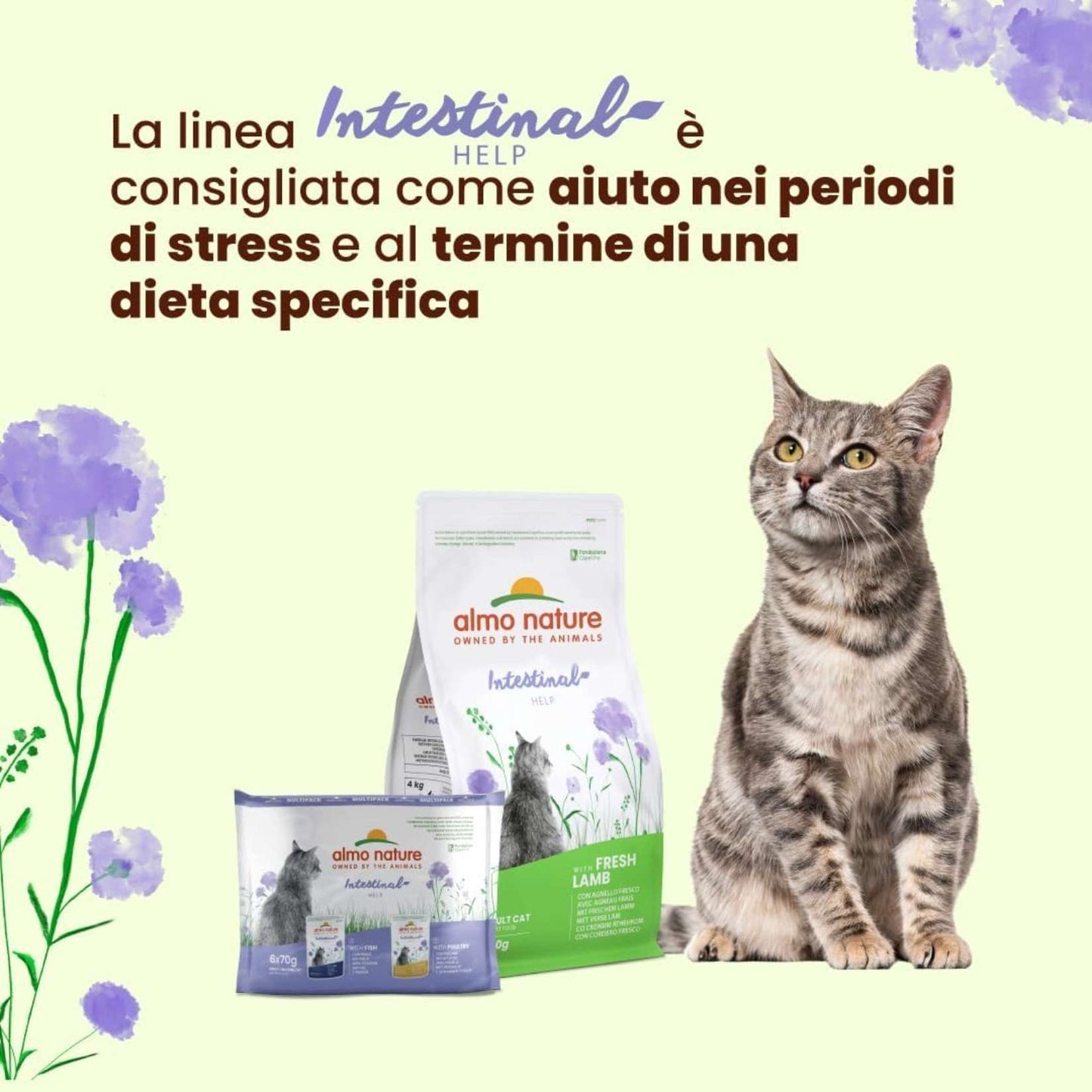 Almo Nature – Holistic Hairball – Nassfutter für erwachsene Katzen mit Rindfleisch – (30 Beutel à 70 g) 