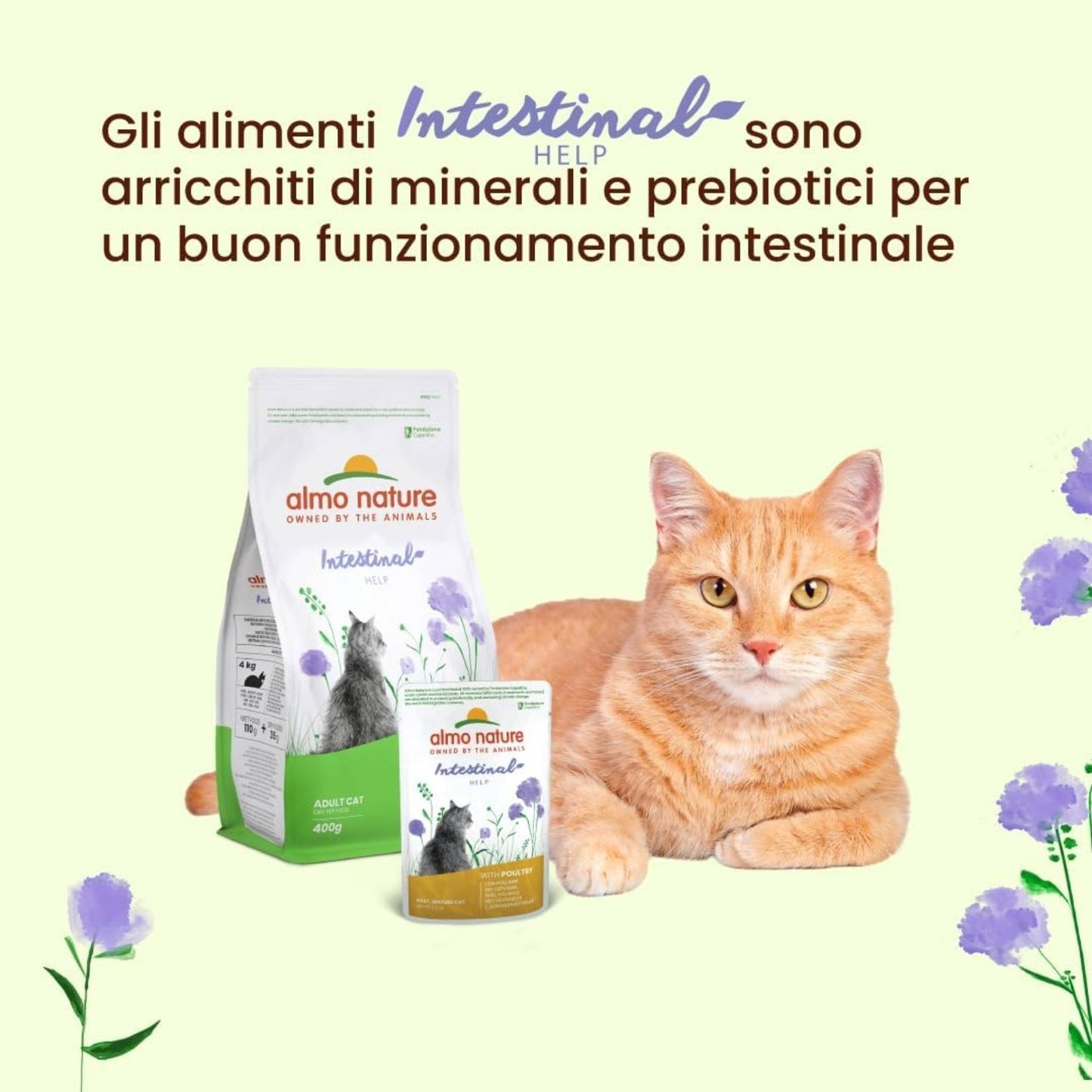 Almo Nature – Holistic Hairball – Nassfutter für erwachsene Katzen mit Rindfleisch – (30 Beutel à 70 g) 
