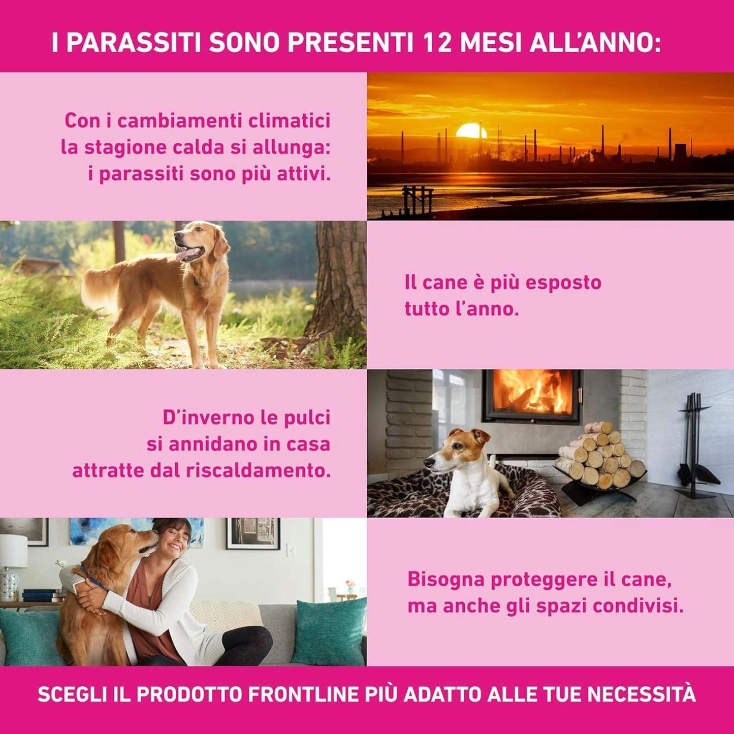 FRONTLINE TRI-ACT Cani 40-60 Kg – 3 Pipette – Antiparassitario BOEHRINGER – Protezione contro Pulci, Zecche e Pappataci