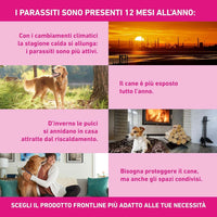 FRONTLINE TRI-ACT Cani 40-60 Kg – 3 Pipette – Antiparassitario BOEHRINGER – Protezione contro Pulci, Zecche e Pappataci