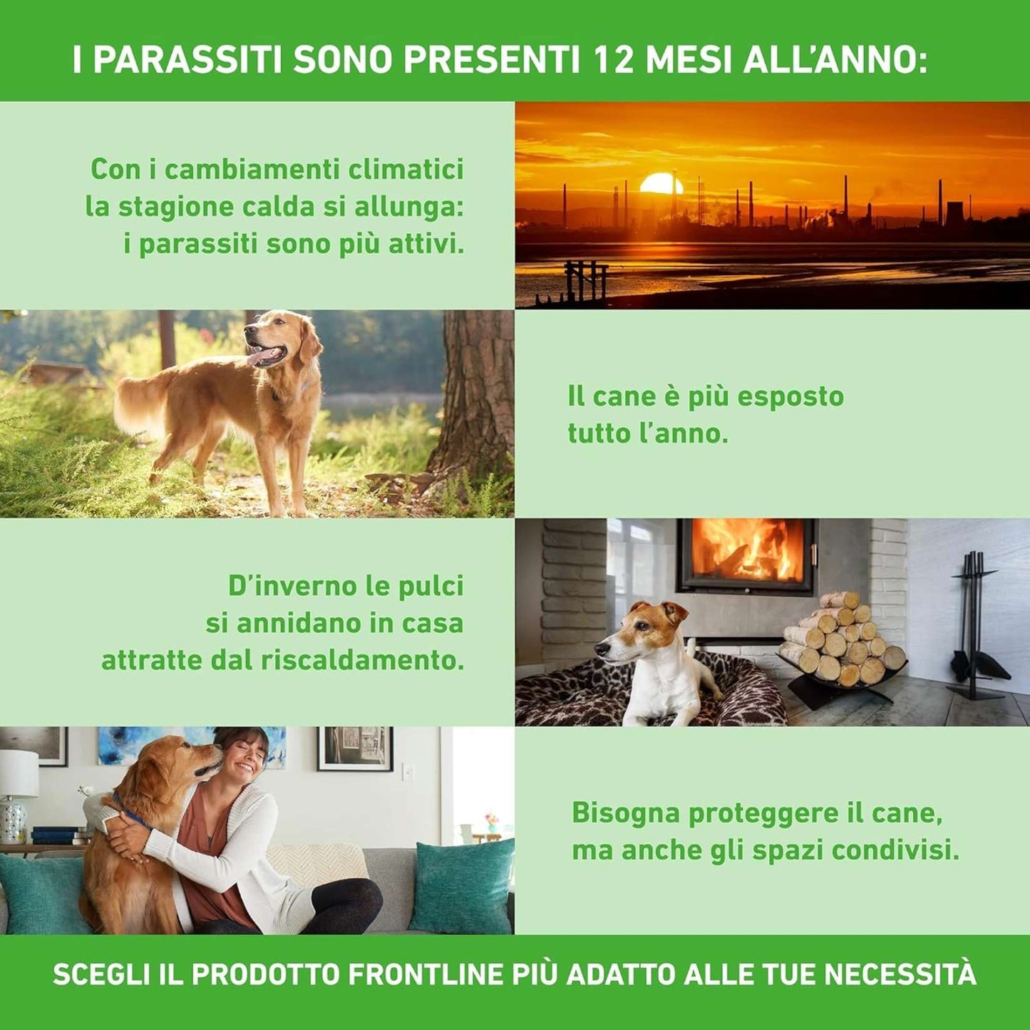 BOEHRINGER – 3 Pipette – Antiparassitario – FRONTLINE Spot On Taglia M – 10-20 Kg