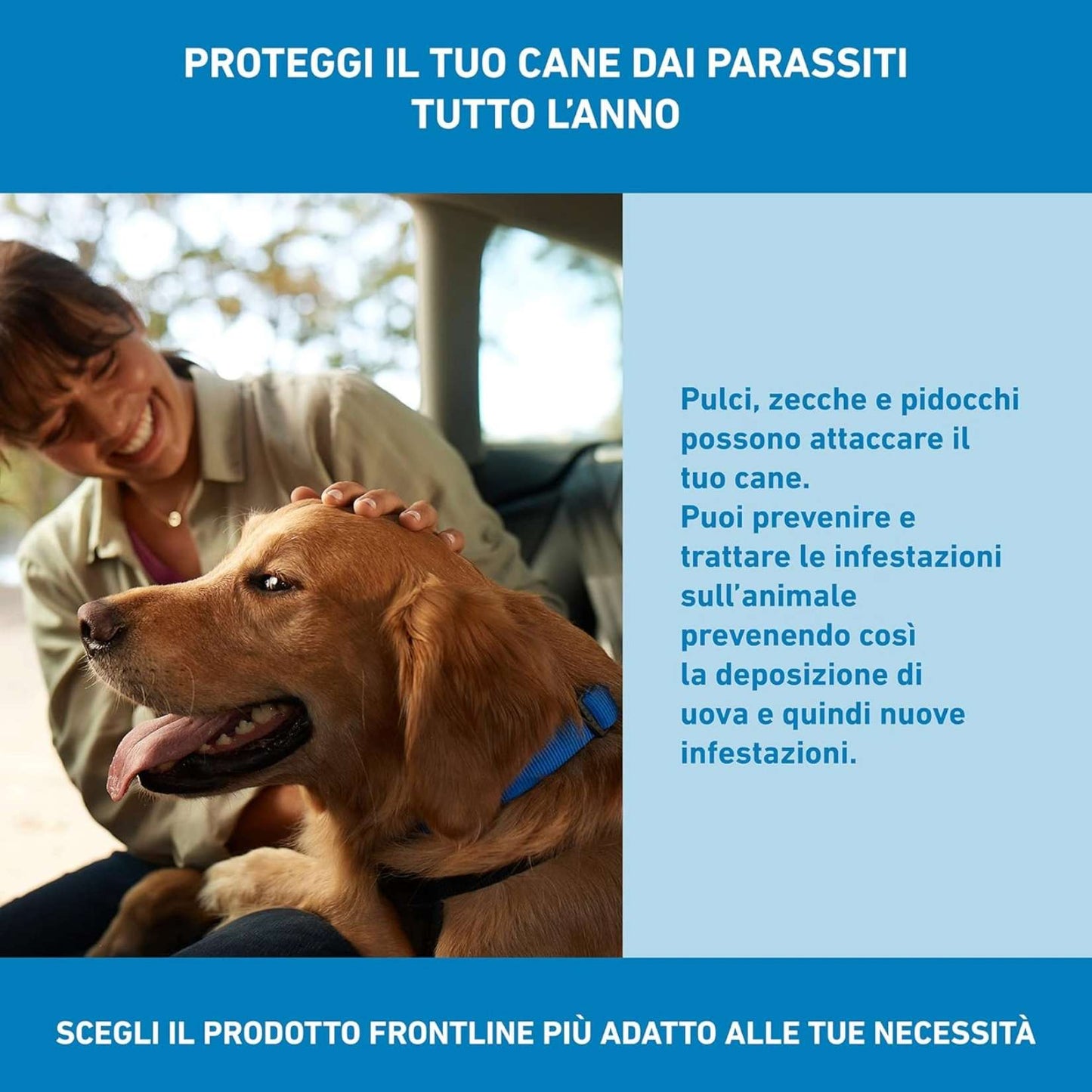 FRONTLINE Spot On Cani 20-40 Kg | 3 Pipette | Antiparassitario BOEHRINGER | Protezione Pulci e Zecche
