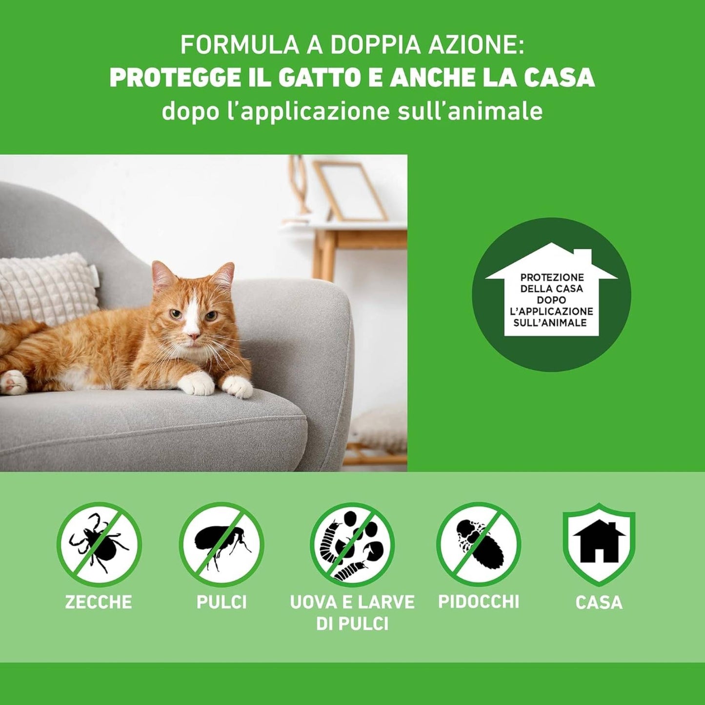 FRONTLINE | Combo Gatti e Furetti | Antiparassitario 3 Pipette da 0,5 ml contro Pulci, Zecche, Uova e Larve