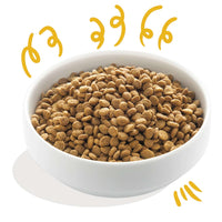 Edgard &amp; Cooper – Crochette Hundefutter – Erwachsene – Bio-Huhn und Pute – 7 kg 