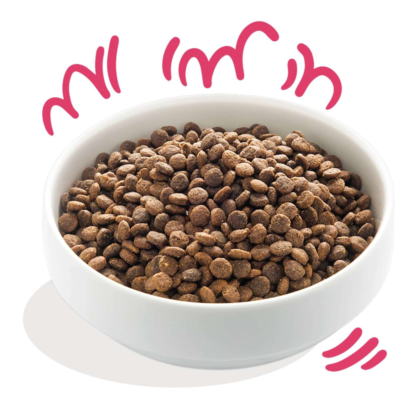 Edgard &amp; Cooper – Crochette Hundefutter – Erwachsene – Bio-Rind und Huhn – 7 kg 