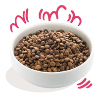 Edgard &amp; Cooper – Crochette Hundefutter – Erwachsene – Bio-Rind und Huhn – 7 kg 