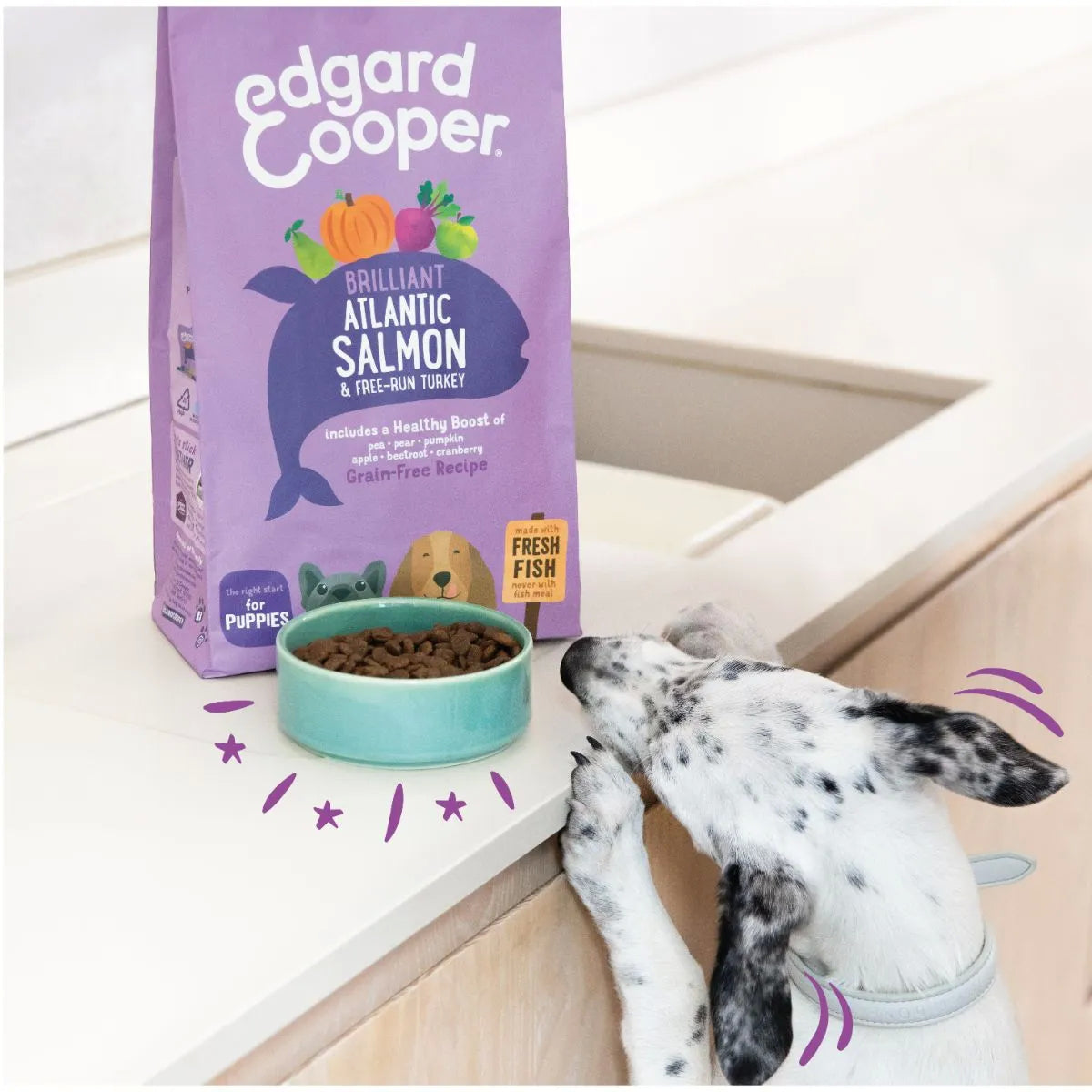 Edgard &amp; Cooper – Crochette Hundefutter – Puppy Junior – Lachs und Truthahn – 12 kg 