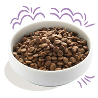 Edgard &amp; Cooper – Crochette Hundefutter – Erwachsene – Lachs/Truthahn – 7kg 