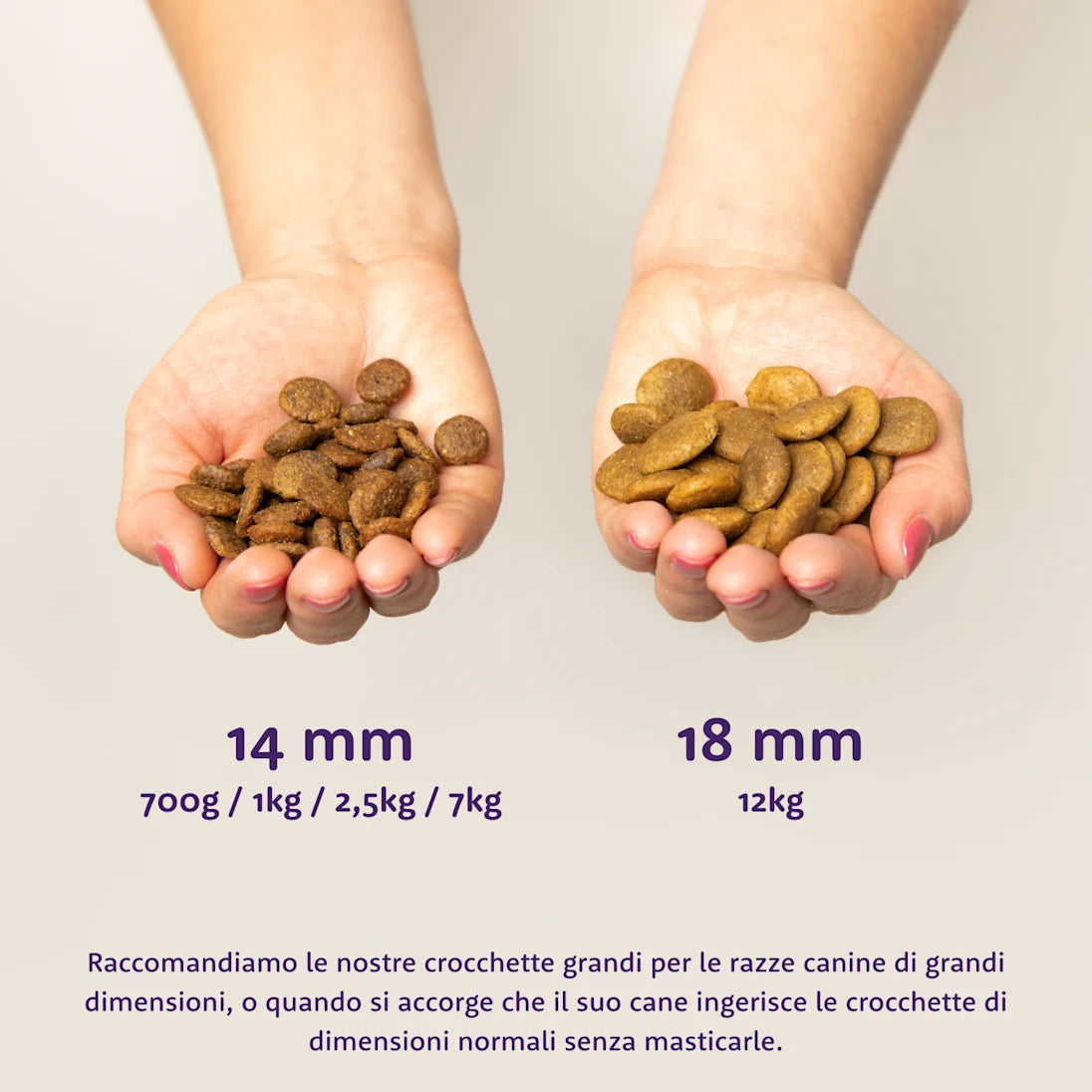 Edgard &amp; Cooper - Trockenfutter für Hunde - Erwachsene - Frischer Lachs - 7 kg 