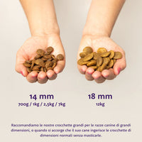 Edgard &amp; Cooper - Trockenfutter für Hunde - Erwachsene - Frischer Lachs - 7 kg 