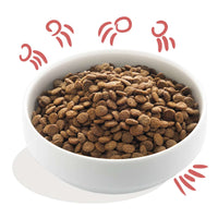 Edgard &amp; Cooper – Crochette Hundefutter – Erwachsene – Frisches Lamm – 12 kg 