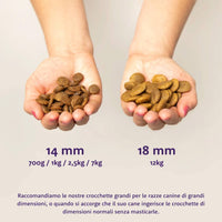 dgard &amp; Cooper - Trockenfutter für Hunde - Erwachsene - Frisches Huhn - 12 kg 