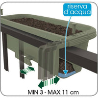 Bama – Schwalbenpflanzer – Salbei 