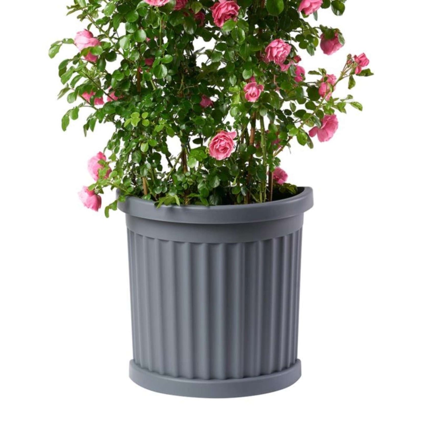 Bama – Vase mit Untertasse – Modell Roma – Farbe Grau 