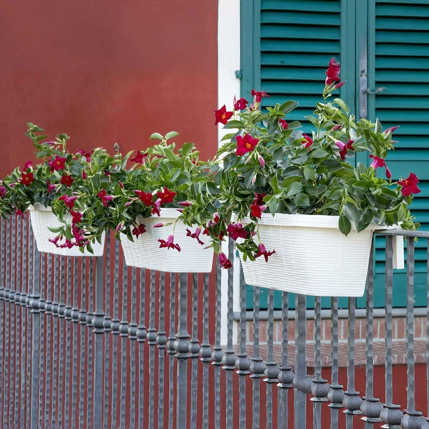 Bama – Schwalben-Pflanzgefäß – Creme 