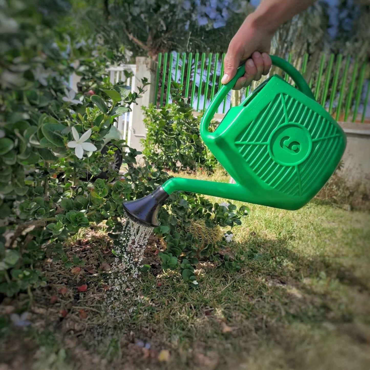 Annaffiatoio da Giardino Ecoplast 6L – In Plastica Verde Resistente, Made in Italy – Comodo e Leggero