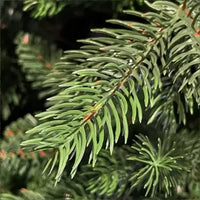 Albero di Natale “Winter Elegance” CM.210 PE+PVC – 1418 Rami per un Effetto Naturale, Diametro 124 cm