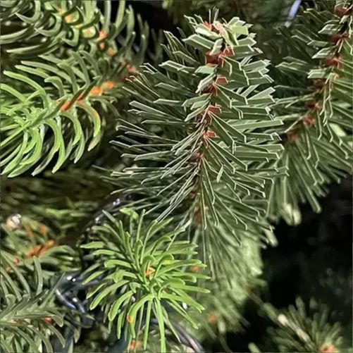Albero di Natale “Winter Elegance” CM.210 PE+PVC – 1418 Rami per un Effetto Naturale, Diametro 124 cm