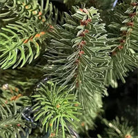 Albero di Natale “Winter Elegance” CM.210 PE+PVC – 1418 Rami per un Effetto Naturale, Diametro 124 cm