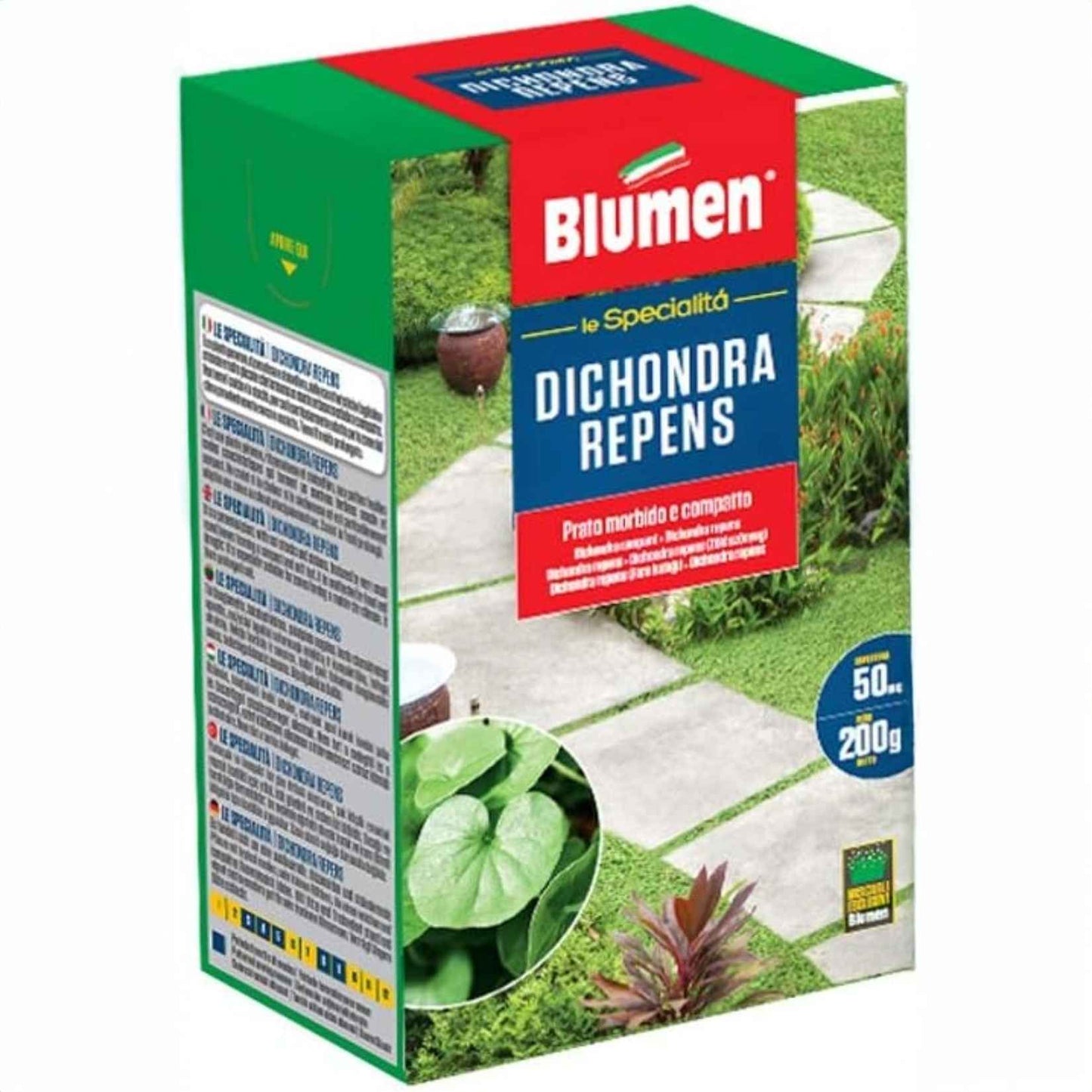 BLUMEN | Mehrjähriger Zwergrasensamen – Bodendeckerpflanze mit runden Blättern, weich und kompakt, kein Mähen erforderlich