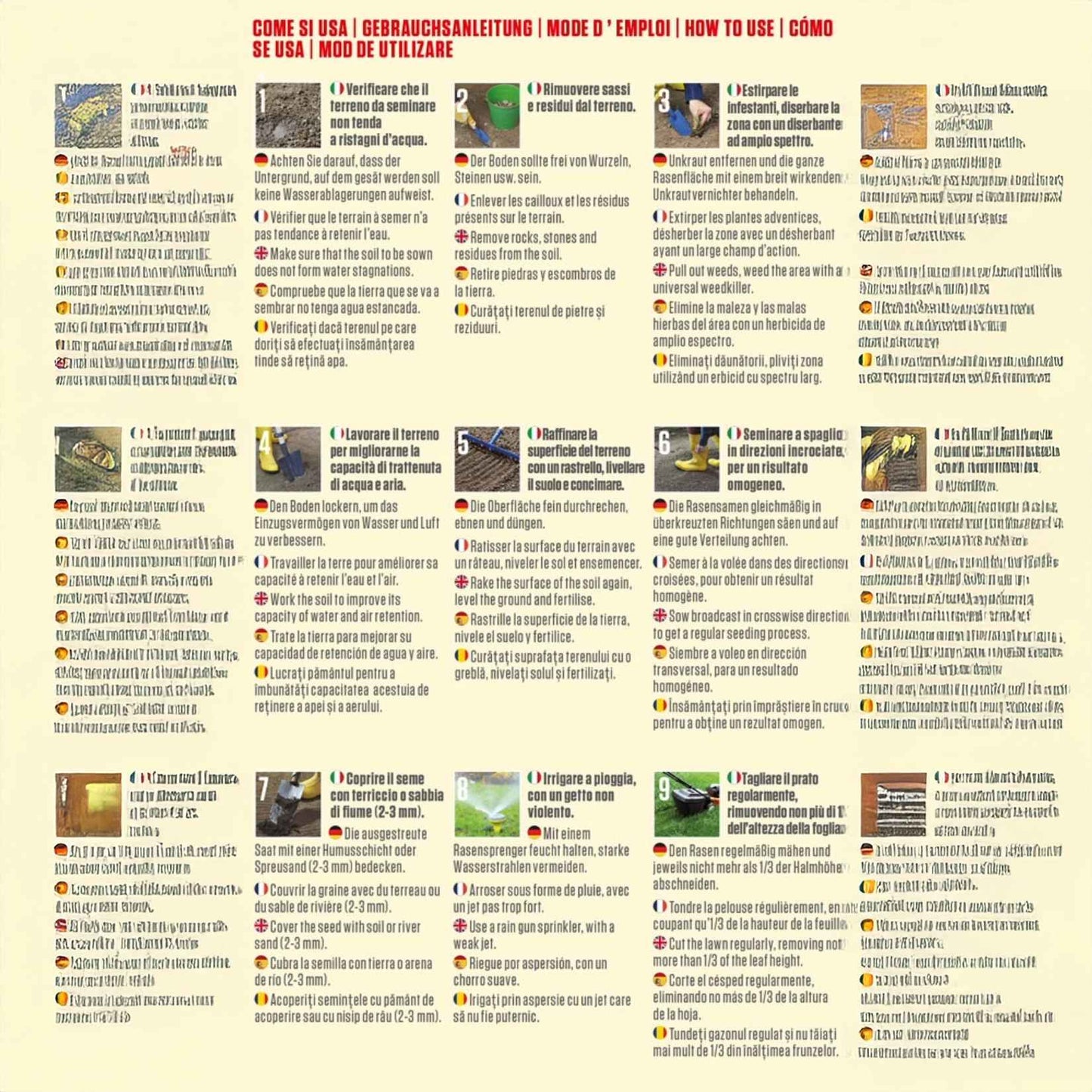 Blumen – Dichte und kompakte Rasensamen, 500 g – Hitze- und dürreresistente Gartengrasmischung, ideal für kühle Umgebungen