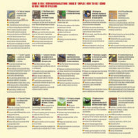 Blumen – Dichte und kompakte Rasensamen, 500 g – Hitze- und dürreresistente Gartengrasmischung, ideal für kühle Umgebungen