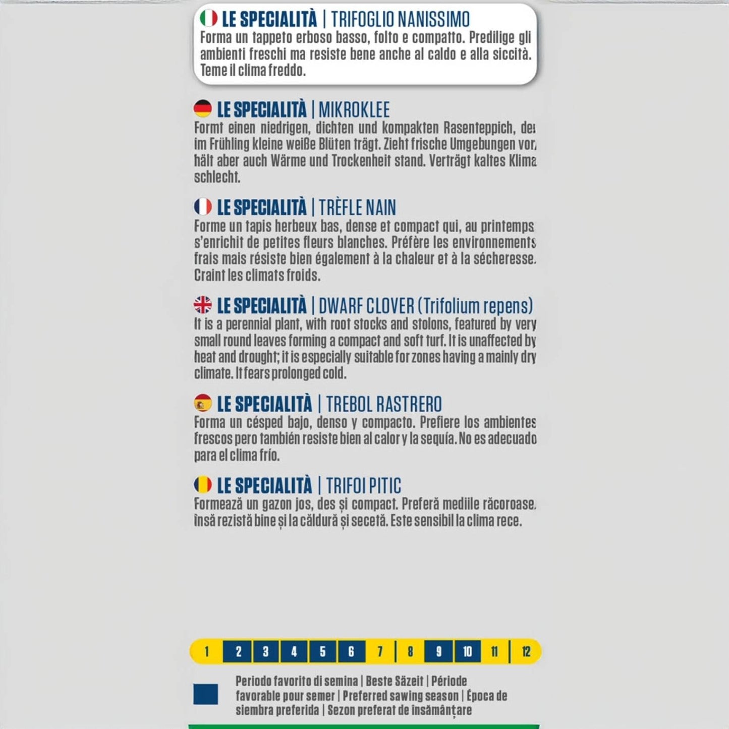 Blumen – Dichte und kompakte Rasensamen, 500 g – Hitze- und dürreresistente Gartengrasmischung, ideal für kühle Umgebungen