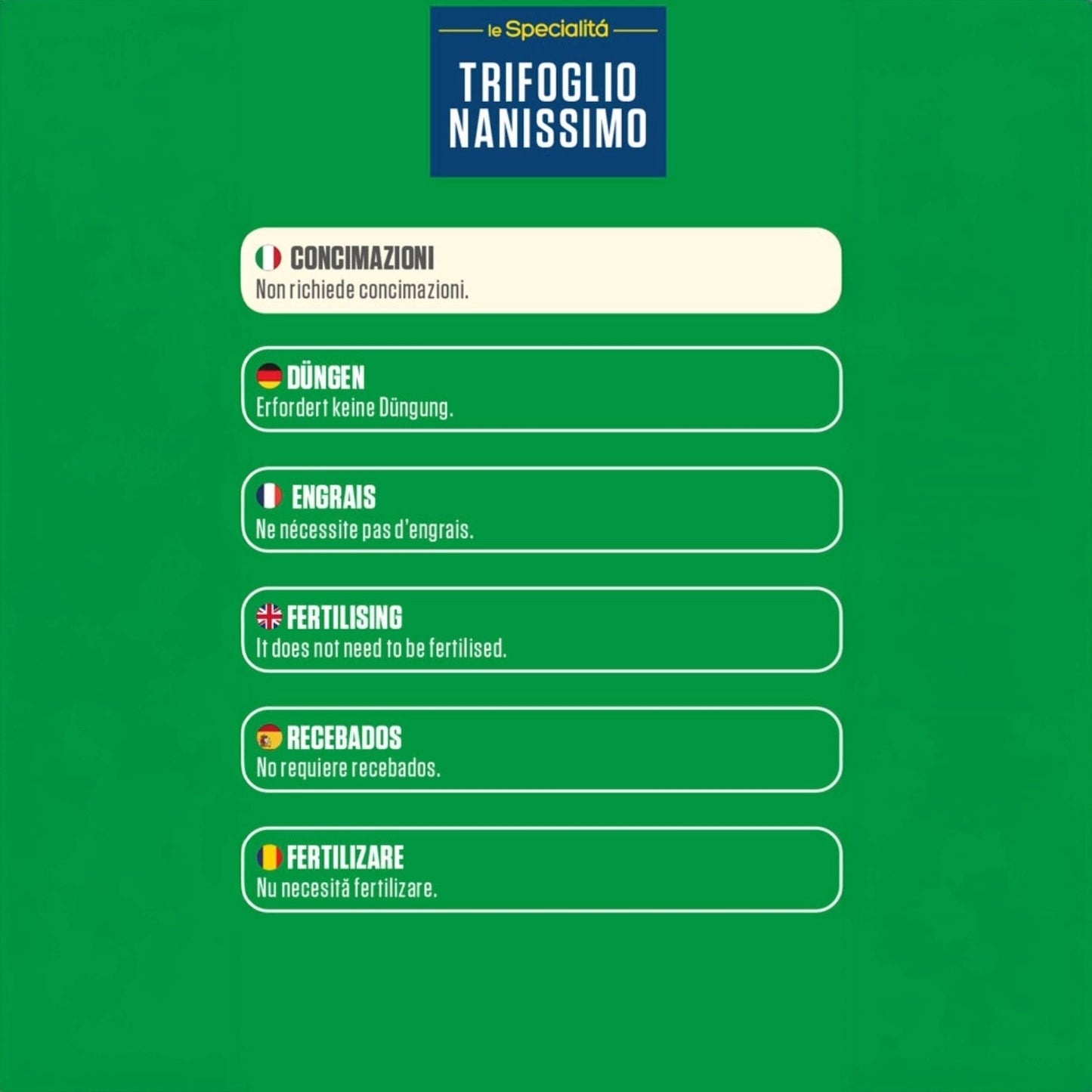 Blumen – Dichte und kompakte Rasensamen, 500 g – Hitze- und dürreresistente Gartengrasmischung, ideal für kühle Umgebungen