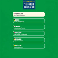 Blumen – Dichte und kompakte Rasensamen, 500 g – Hitze- und dürreresistente Gartengrasmischung, ideal für kühle Umgebungen