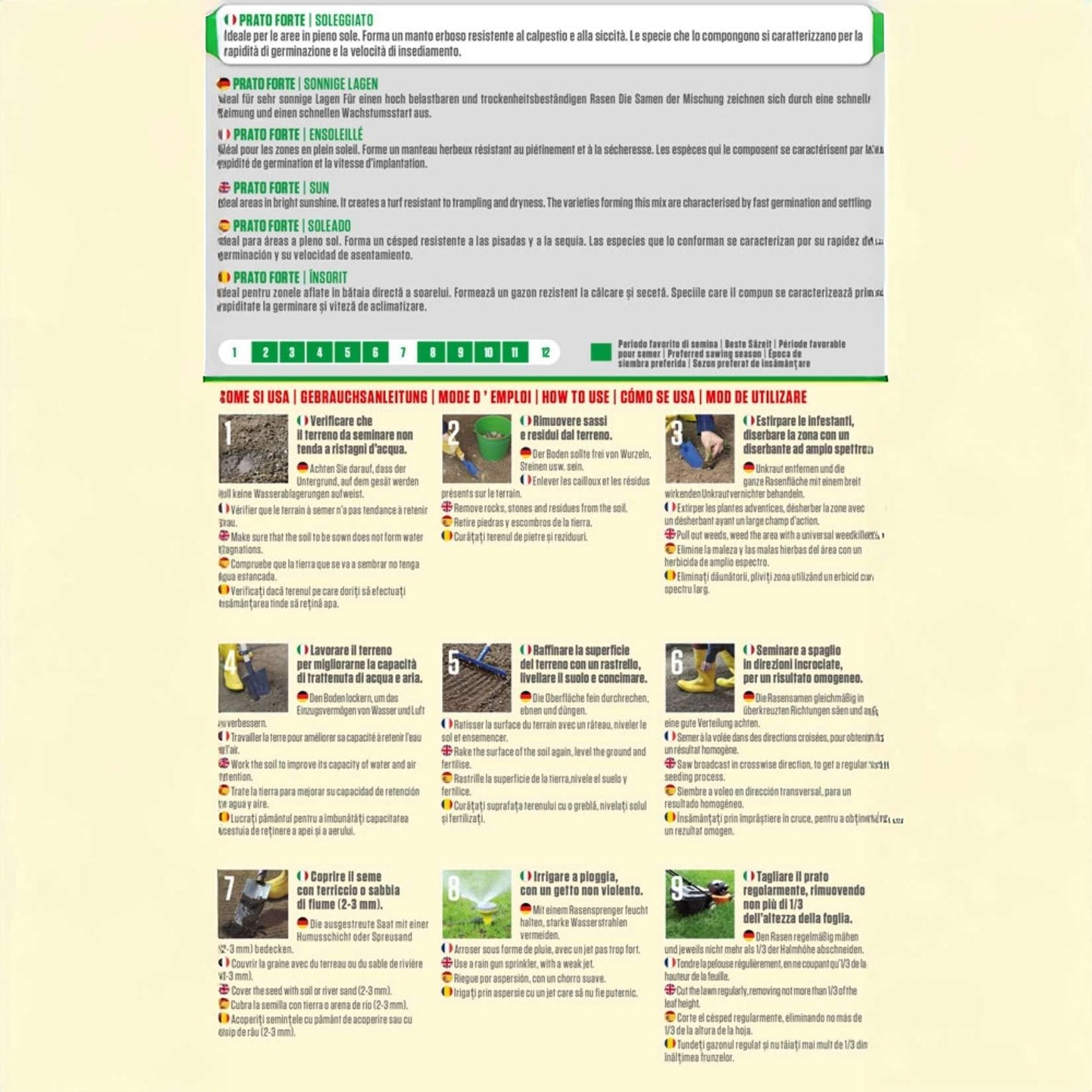 Blumen Starke Rasensamen für sonnige Bereiche – langlebiges Gartengras, grüner Rasen, einfach anzubauen