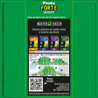 Blumen Starke Rasensamen für sonnige Bereiche – langlebiges Gartengras, grüner Rasen, einfach anzubauen