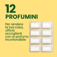 Kit Completo per Folletto VK135 VK136, 30 Pezzi con 12 Sacchetti, 12 Profumini, 4 Filtri Griglia, 2 HEPA, Verde e Bianco, Ricambi Compatibili in Microfibra